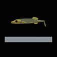 am-bait-pike-12cm-eye-8mm-2.png 2x AM bait fish 12cm / 16cm hoof form for predator fishing