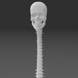 Captura-de-pantalla-2024-04-21-203644.png 3D Printed Human Spinal Column Model
