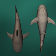 4.png Bull Shark