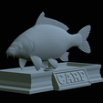 carp-statue-20.png fish carp / Cyprinus carpio statue detailed texture for 3d printing