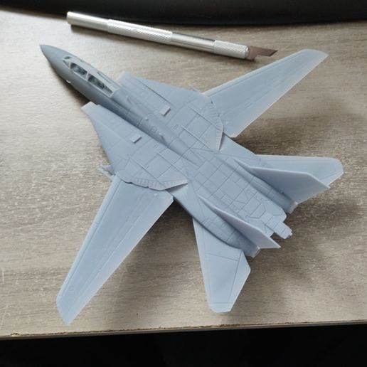 IMG_20250609_114737.jpg F14 Tomcat MSLA