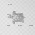 petite-tortue-1.jpg Little turtle Lili 🐢