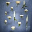 airplants.jpeg STL file Squid Air Plant Holder (FDM & SLA)・3D printing idea to download