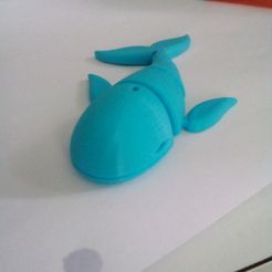 Flexi whale