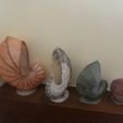 nP1130160.jpg STL file Nautiles・3D printer design to download