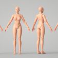 render.jpg Datei 3D Articulated Poseable Female Figure・Design für 3D-Drucker zum herunterladen, RikkTheGaijin