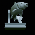 Carp-trophy-statue-39.png fish carp / Cyprinus carpio in motion trophy statue detailed texture for 3d printing