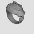 WhatsApp-Image-2025-02-11-at-20.21.41-1.jpeg ANILLO PANTHER