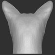 8.jpg Abyssinian cat head for 3D printing