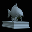 carp-statue-23.png fish carp / Cyprinus carpio statue detailed texture for 3d printing