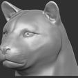 2.jpg Leopard head for 3D printing