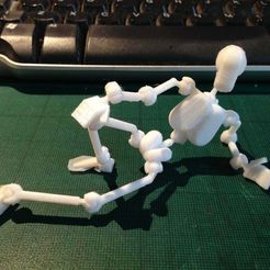 IMG_3384.JPG anatomically correct poseable action figure for drawing