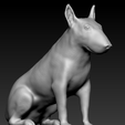 bullterrrr.png Bullterrier seated