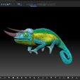 ZBrush1.jpg Three-horned chameleon - (Trioceros jacksonii)-STL 3D print file incl. originals (Cinema, Zbrush) with full-size texture high polygon