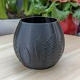 PXL_20230315_152336996.PORTRAIT~2.jpg Embossed fern pattern planter, plant pot with drainage hole, leaf, nature