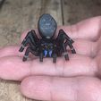 IMG_3032.jpg STL file Articulated Jumping Spider _ Print-In-Place Jumping Spider・3D printing design to download