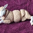 IMG_20250403_144813108.jpg Articulated Sheep