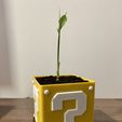 IMG_1425.jpeg Super Mario Plant Pot