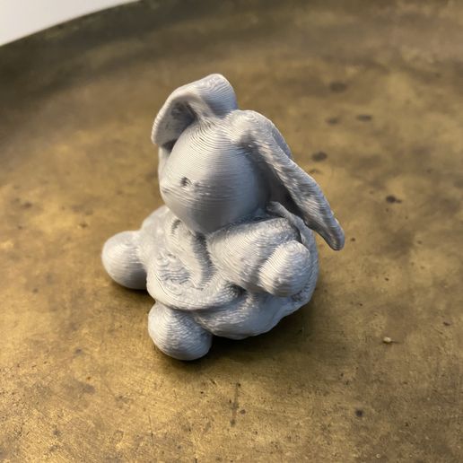 IMG_3325c.jpeg Free STL file Cute rabbit・Design to download and 3D print, Kangoo-roo