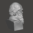 Charles-Darwin-7.png 3D Model of Charles Darwin - High-Quality STL File for 3D Printing (PERSONAL USE)