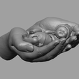 Baby_Hand_8.png hands carrying sleeping baby