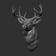 42.jpg White tailed deer bust