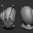 SNAIL-4.jpg Snail 3D printable model