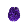 adrians_brain_3.stl Mon cerveau ; scanné à partir d'une IRM
