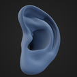 EarModel_3.png Human Ear
