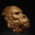 10.png King Kong - Gorilla Costume Face Mask 3D print model
