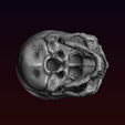 6.png Skull detailed
