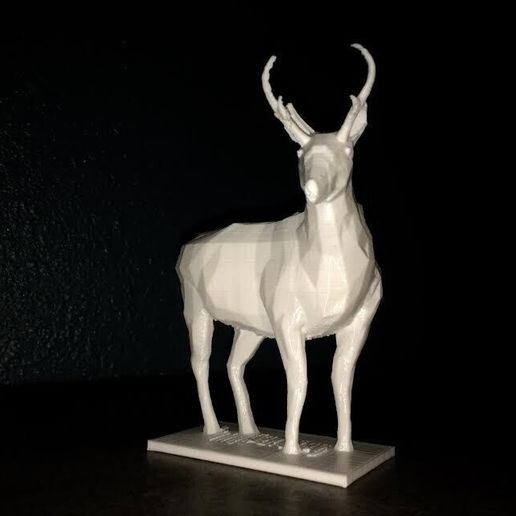 pronghorn_1.jpg Das Sonoran Pronghorn