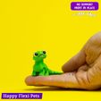 12.jpg Lizard Lilu the cute articulated flexi toy (#32)
