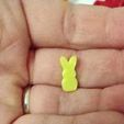 432619644_328341506893443_3388772942030542456_n.jpg Tiny Doll Miniature Peep Bunnys / Easter bunny peeps mini / Cute / Tiny / Mini pretend play