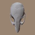 Muskrat_skull_MarcoValenzuela.com-(2).jpg MuskRat Skull based on CT Scan Data by Marco Valenzuela