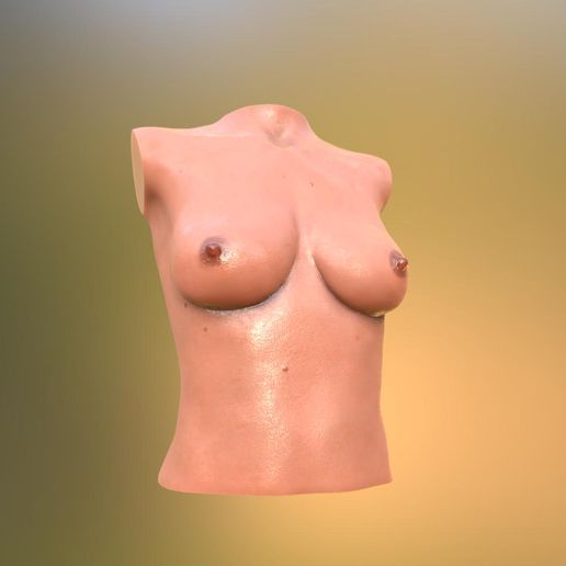 tits#1 - 3D model önizlemesi