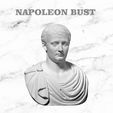 NapoleonBust.jpg Napoleon Bust