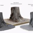 single_tree_stump_turntable_tree_fix_5.jpg Free STL file 3D Scanned Tree Stump for Tabletop Scatter Terrain・3D printable model to download