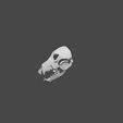 untitled1.png Wolf skull mask moving jaw,3d model STL file, animal skull mask, skull mask, cosplay mask, scary mask, halloween mask