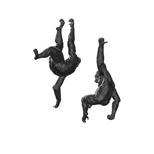 IMG_8571.png hanging monkeys