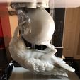 E0Jp_HPWEAIbJZA.jpg STL file The Jewel Thief (Raven and Skull)・3D print object to download