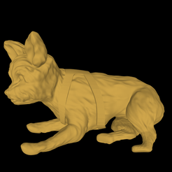 model-12.png DOG - YORKIE- DOG LAYING - CUTE DOG - PUPPY - PUPPIES - PUP - YORKSHIRE TERRIER