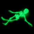Skeleton06.jpg Download STL file Cute Flexi Print-in-Place Skeleton • 3D printing model, FlexiFactory