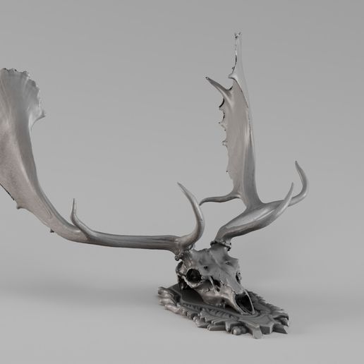 001731 Fallow Deer Skull – Raw 3D Scan