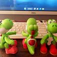 YOSHI FLEXI