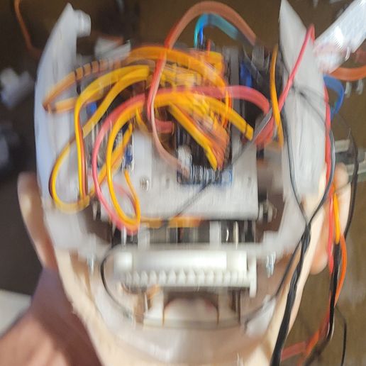 20240204_113241.jpg Sylvie Project: Full animatronic skull