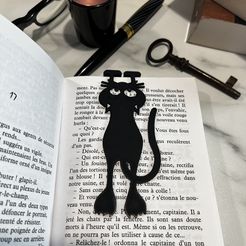 IMG_5591.jpg cat bookmark