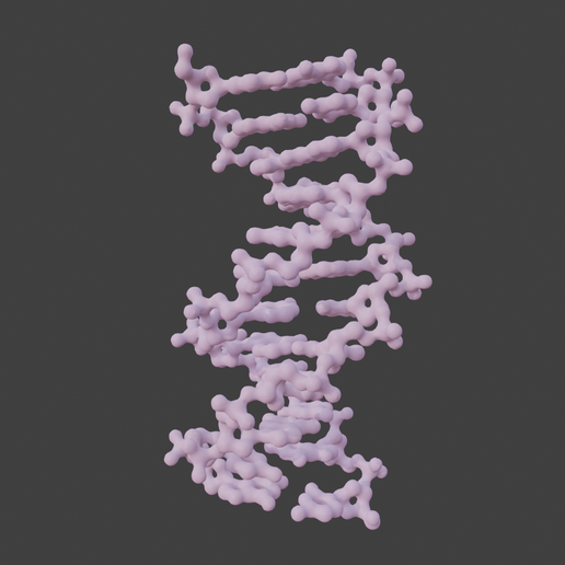 🧬 DNA Helix molecular model・ STL File for 3D printing・Cults