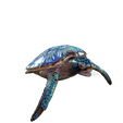 png-1.png TURTLE REPTILE MAMMAL WATER SEA RIVER FISH TORTOISE 3D