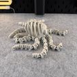 IMG_7978.jpg Articulated Skeleton Octopus